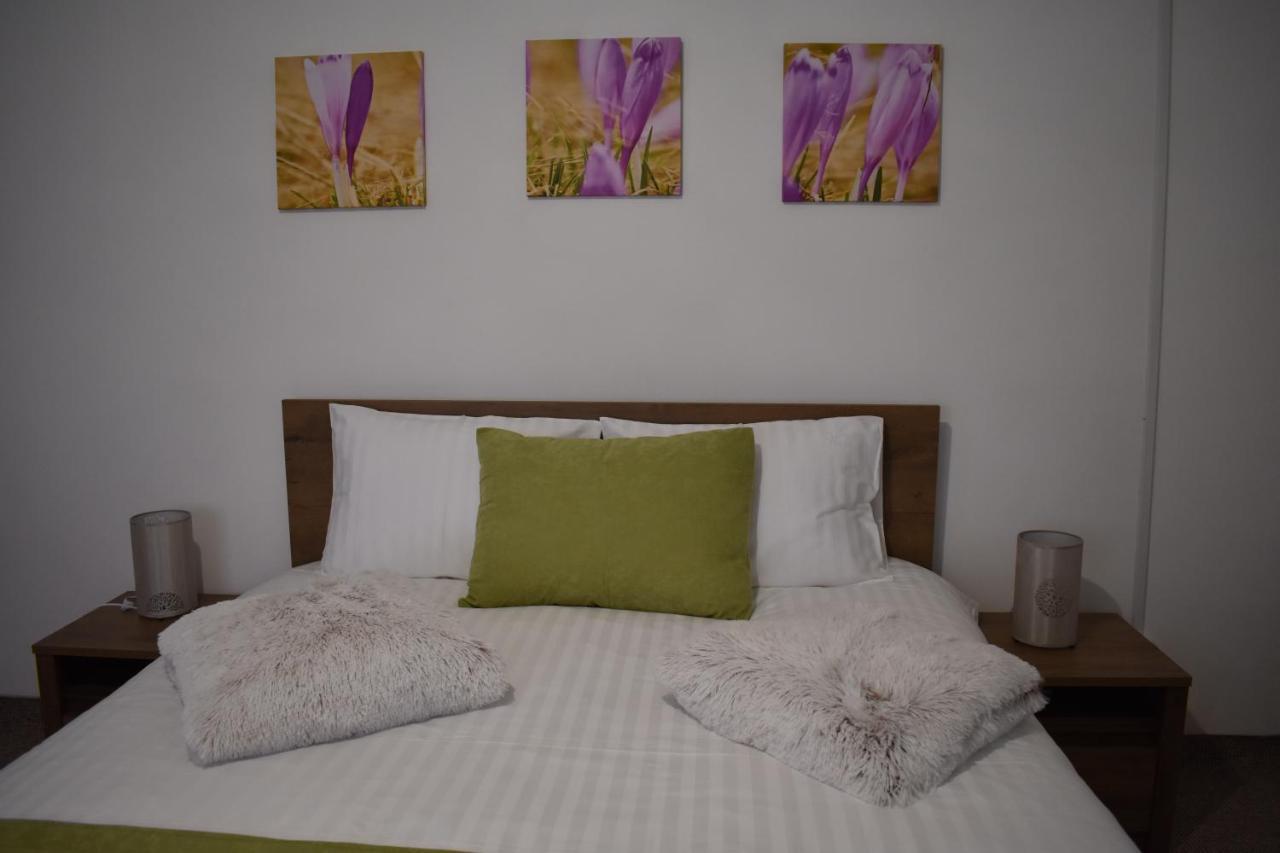 Apartament Zimbru Клуж-Напока Екстер'єр фото